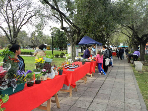 Imagen de la nota: Primer Feria Verde en la Plaza de General Pacheco